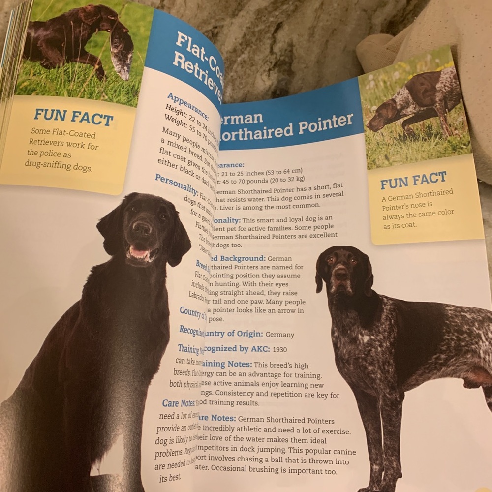 *Dogs encyclopedia book - Picture 4 of 10